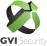 GVI Security GVI Security